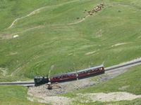 Brienzer Hornbahn