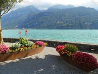 Brienzer See