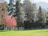 Como