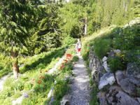 Davos, Schatzalp