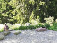 Davos, Schatzalp