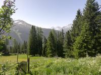 Davos, Schatzalp