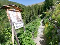 Davos, Schatzalp