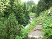 Davos, Schatzalp