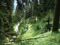 Davos, Schatzalp