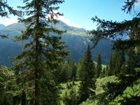 Davos, Schatzalp