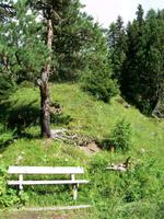 Davos, Schatzalp