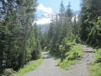 Der Rückweg zur Oeschinenbahn