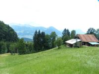 Die Fahrt zum Rigi