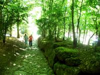 Die Hohle Gasse