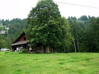 Die Rigi Dampfbahn 