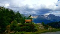 Fahrt auf den Berninapass