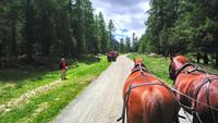 Fahrt ins Rosegg Tal, Schweiz