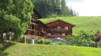 Fahrt mit dem Arosa Express