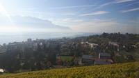 Fahrt mit dem Panoramic-Express