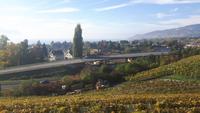 Fahrt mit dem Panoramic-Express
