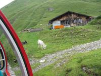 Fahrt mit der Brienzer Rothorn Bahn