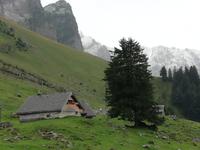 Fahrt vom Säntis
