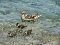 Familienausflug