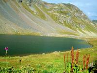 Flüela - Pass