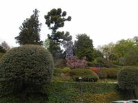 Garten der 