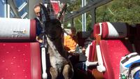 Glacier-Express, Fahrt von Filisur bis Zermatt