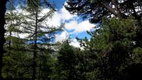 Gornergratbahn-kleine Wanderung zur Riffelalp