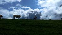 Grindelwald, Wanderung entlang des Panoramaweges