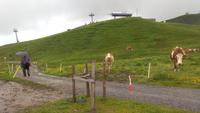 Grindelwald, Wanderung entlang des Panoramaweges