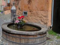 Guarda