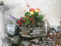 Guarda