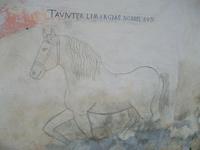 Guarda