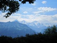 Harder Kulm