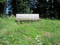 Harder Kulm