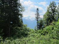 Harder Kulm
