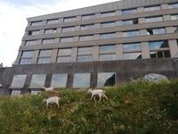 Hotel Säntis