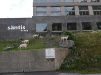 Hotel Säntis