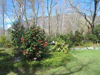 IMG_3162