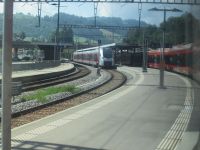IMG_3595.JPG