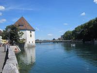 IMG_5247
