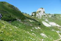 Im Alpengarten