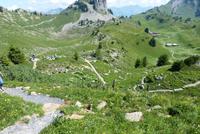 Im Alpengarten