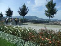 Im Rosengarten