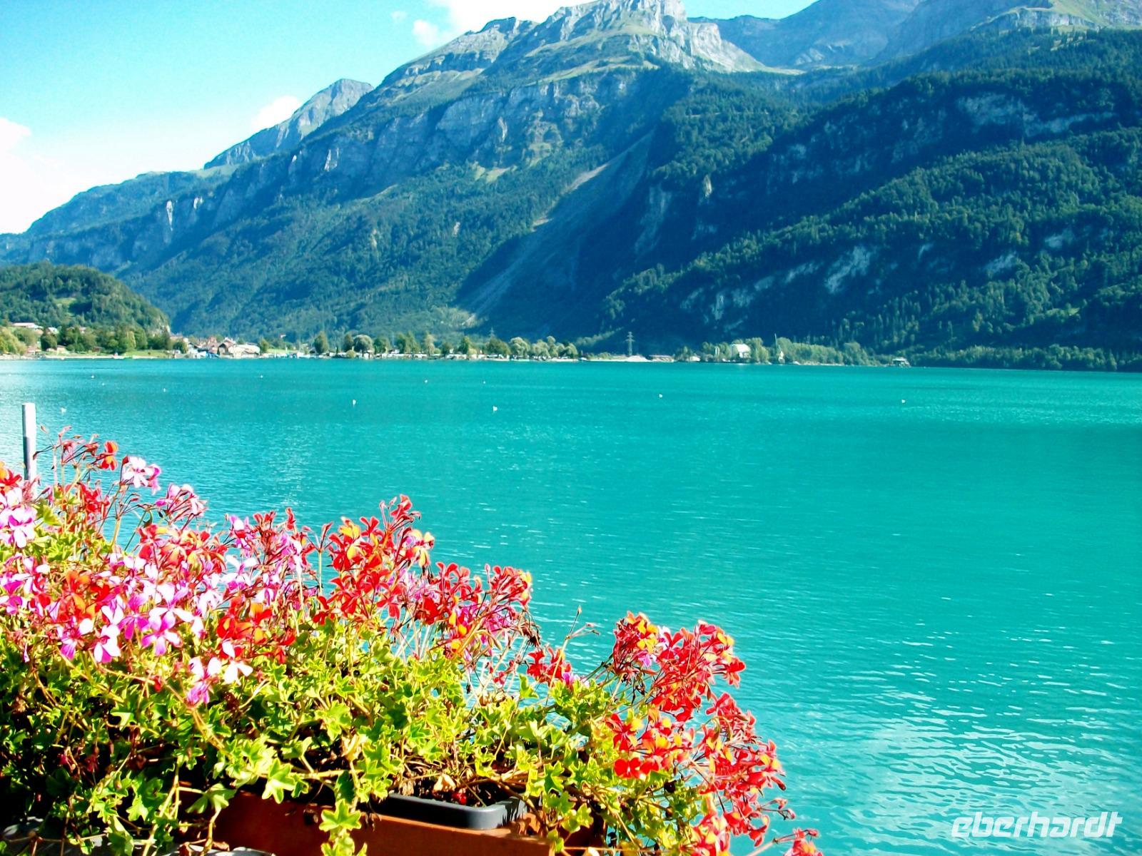 In Brienz