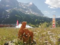 In Grindelwald