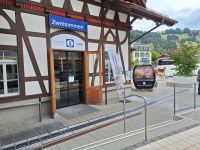 In Zweisimmen