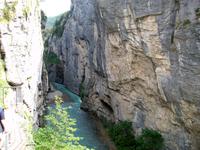 In der Aareschlucht 
