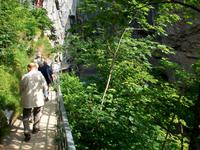 In der Aareschlucht 
