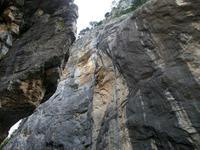 In der Aareschlucht 