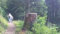 Interlaken, Harder Kulm, unsere Wanderung